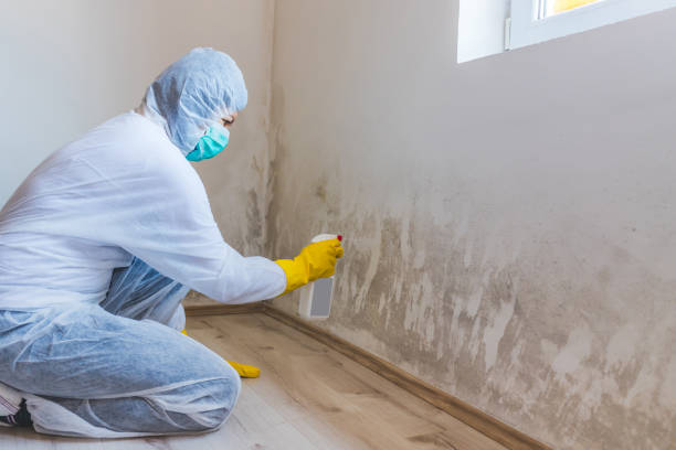 Licensed Commercial Mold Remediation service in Calvin, PA - WQB Mold Removal
