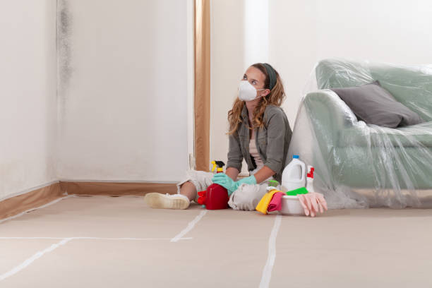 Reliable Commercial Mold Remediation contractor in Calvin, PA by WQB Mold Removal
