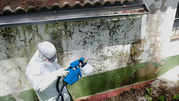Top rated local Commercial Mold Remediation specialists in Calvin, PA